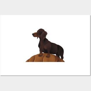 Halloween Hound - Dachshund in autumn Posters and Art